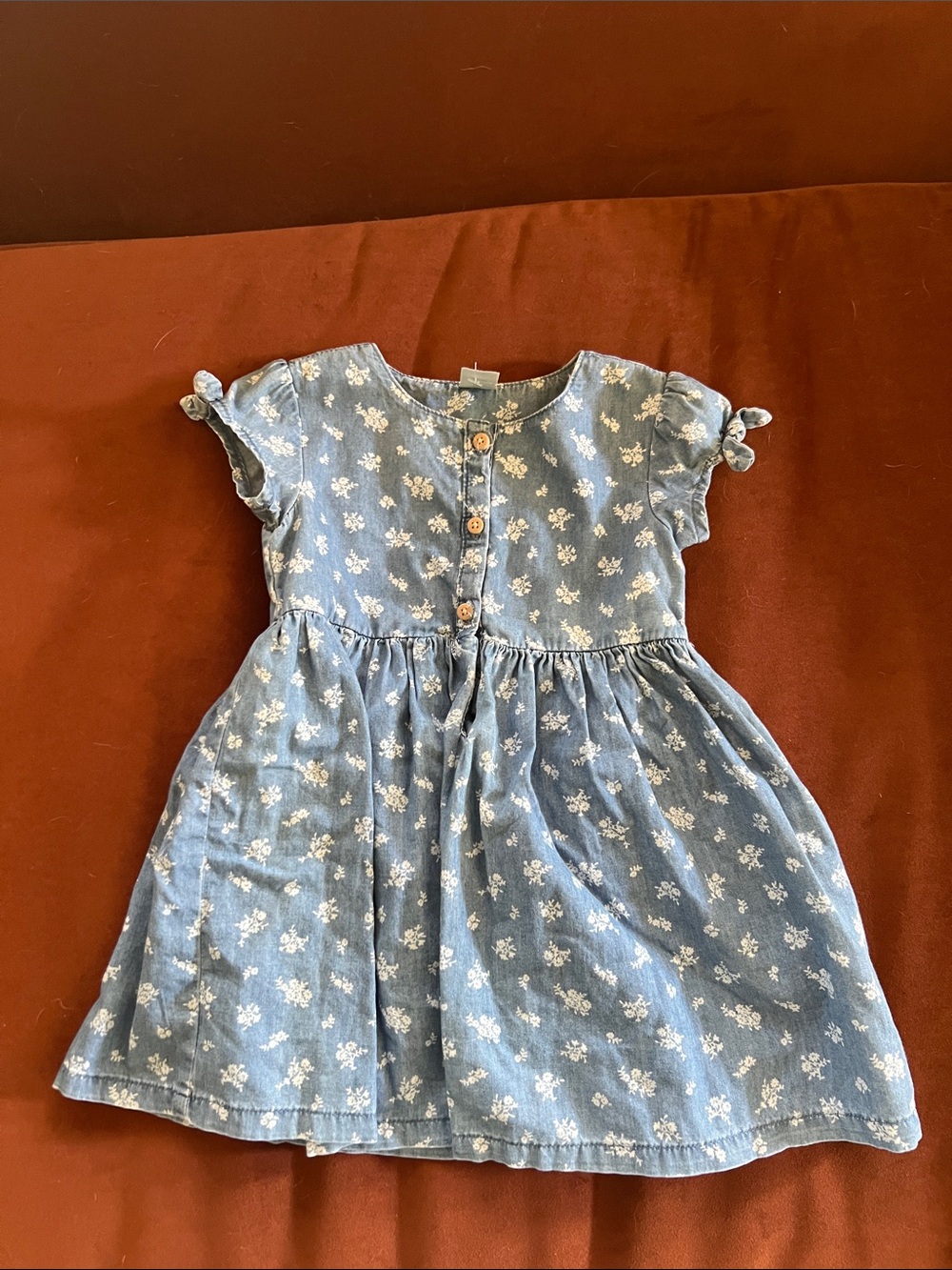 OshKosh B'gosh Blue Floral Denim Button-Front Dress